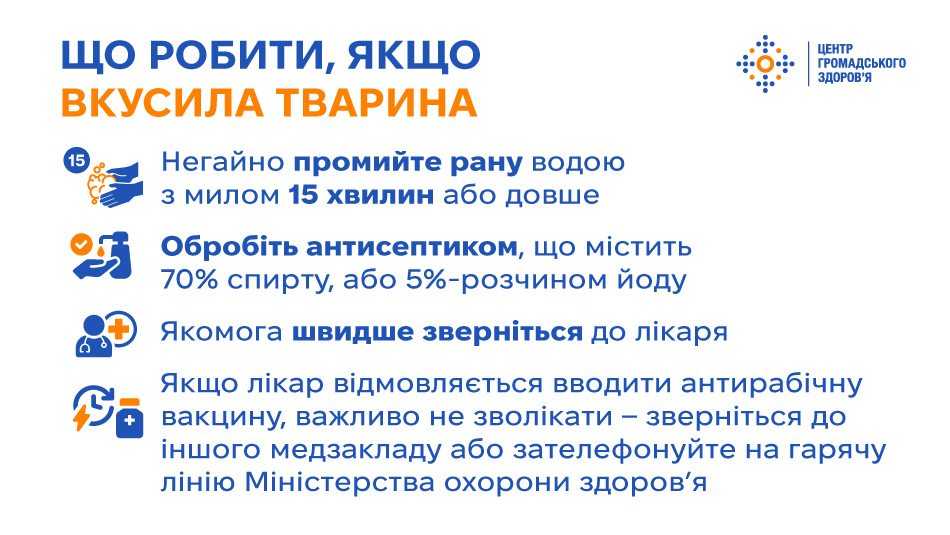Як війна підвищує ризики зараження сказом — що можна зробити Як війна підвищує ризики зараження сказом — що можна зробити